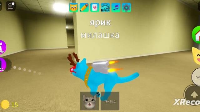 Как найти скин чёрного кота в игре про котиков