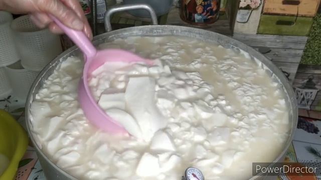 МОЙ СЫР РАСКУПИЛИ АВАНСОМ? ШИКАРНЫЙ СЫР МОЖЕТ СВАРИТЬ КАЖДЫЙ