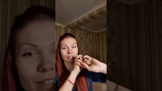 Разговорный эфир / полоз /питон / мои змеи