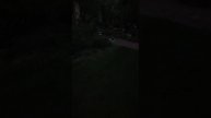 дачные коты 2023 сентябрь серия 2