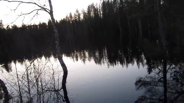 Лайма прощай/Соболь жду домой/