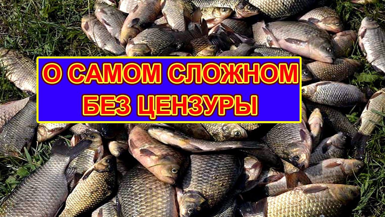 Без ЦЕНЗУРЫ о самом СЛОЖНОМ