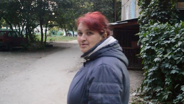 Выгуливать собак негде!