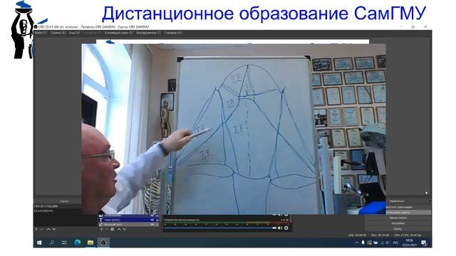 Вебинар "Треугольники, фасции шеи"