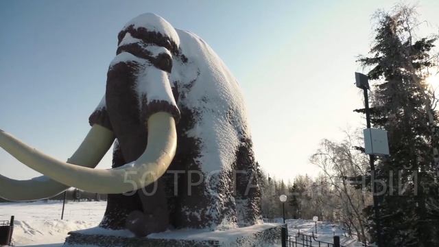 «Битва офисов» - «Поздравляем Ямал!» МБОУ «СОШ №7» г.Губкинский