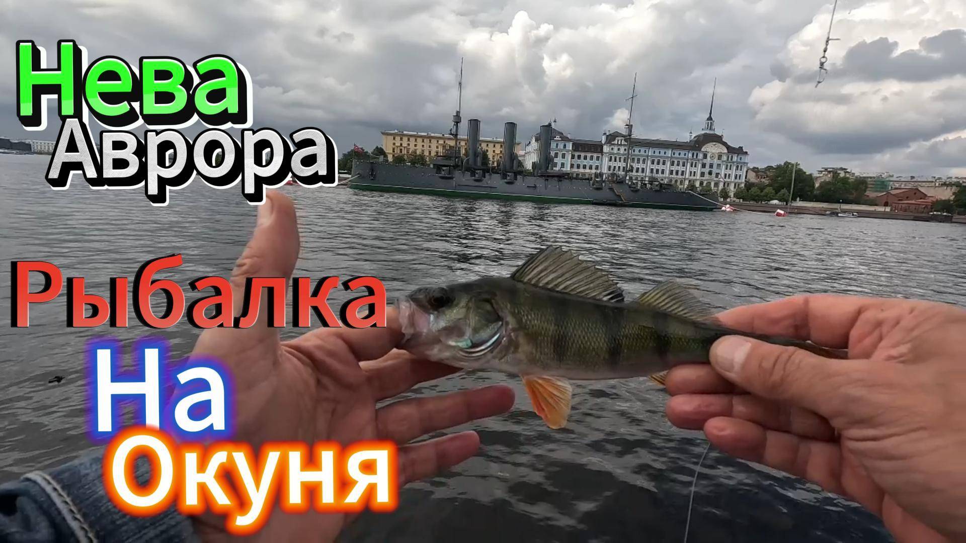 СЛОВИЛИ ТРОФЕЙНОГО ОКУНЯ, НА ОТВОДНОЙ ПОВОДОК- У АВРОРЫ НА НЕВЕ- ОТДОХНУЛ, ПОГУЛЯЛ, ПО ГОРОДУ СПБ.