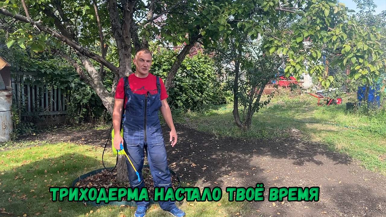 Триходерма настало твоё время