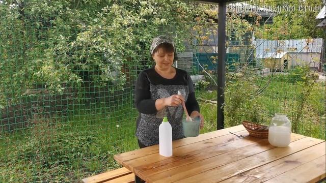 Быстрый способ посадки моркови без прореживания..mp4