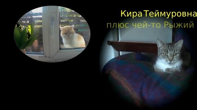 Живёт моя отрада в высоком терему.mp4