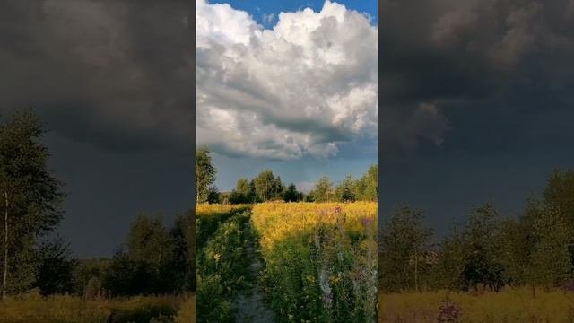 Поле,природа.🌄🌾🌾🌾