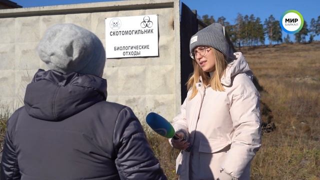 В Улан-Удэ туши мертвых животных свезли к домам