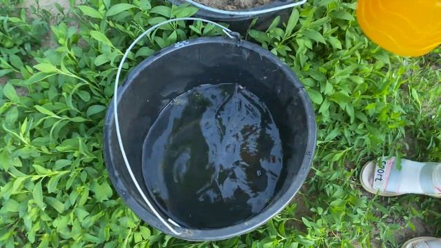 Уикенд с Полиной на целых два дня Что купила в Магнит Косметик Балую себя