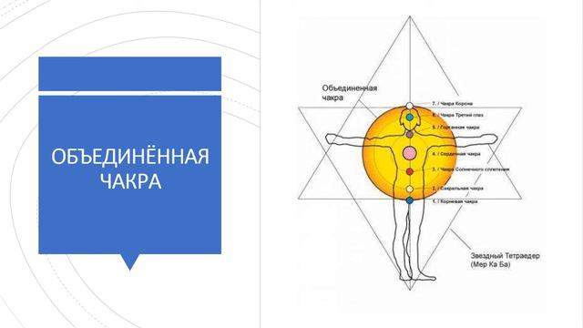 ЧЕЛОВЕК 2 ч  пп 4