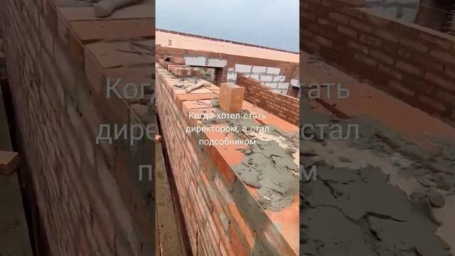 Стена в полтора кирпича #building #construction #work #funny #nature