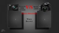 Panasonic Lumix DMC FZ2500 vs Sony α3000