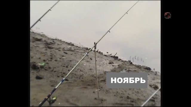 Рыбалка. река Кубань. Ловля на донку с кормушкой, насадка_ сало, опарыш, кукуруза. Fishing (3)