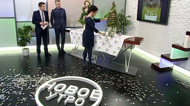 «Живой» новогодний декор