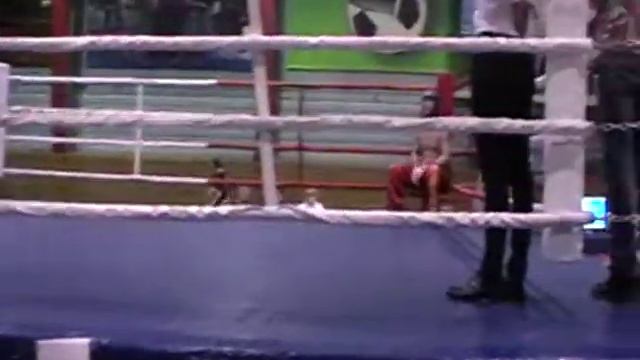 зиновьев финал 2015 область 71кг
