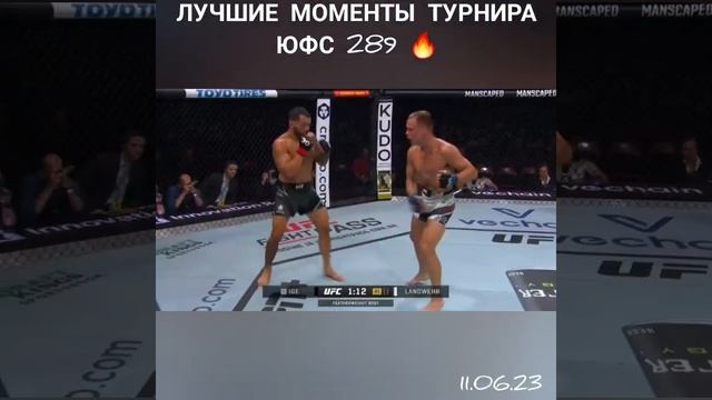 ЮФС 289 ?