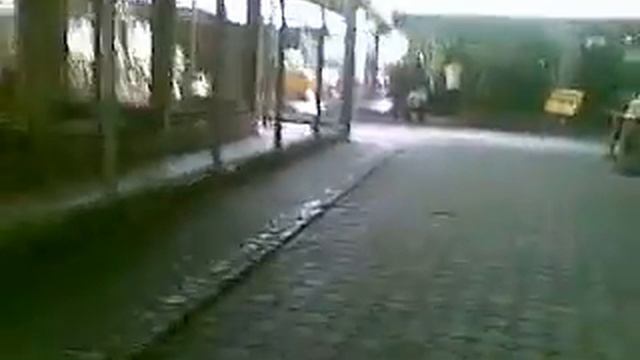 Как меня тигр пометил в зоопарке Тайланда)