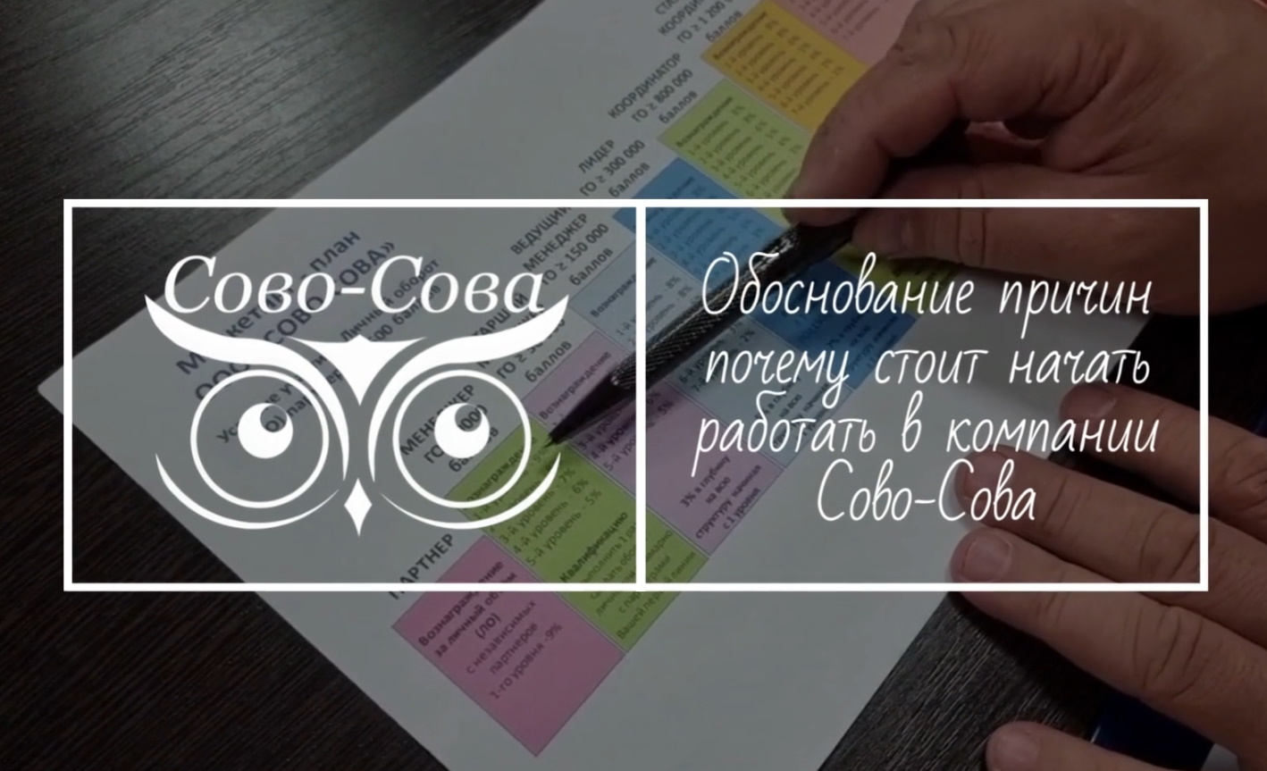 Обоснование причин почему стоит начать работать в компании Сово-Сова.mp4
