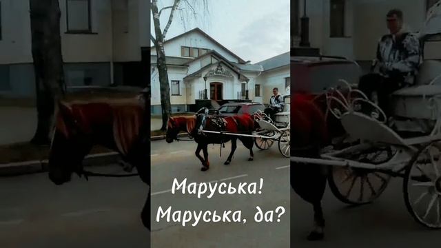 -Эй, извозчик!
-Я не извозчик - я водитель Маруськи!
