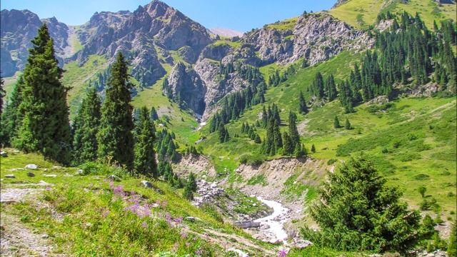 Звёздное лето. Алла Пугачёва. Автор видео Юрий Баженов.