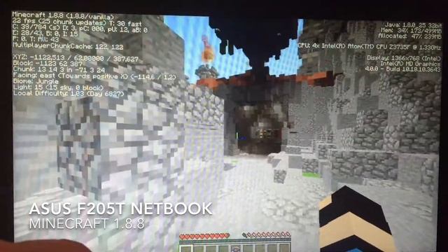 Minecraft 1.8.8 on a Asus F205T netbook