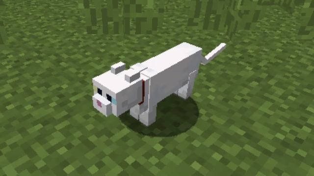Minecraft: slowed down cat sound effect (2 variations)
