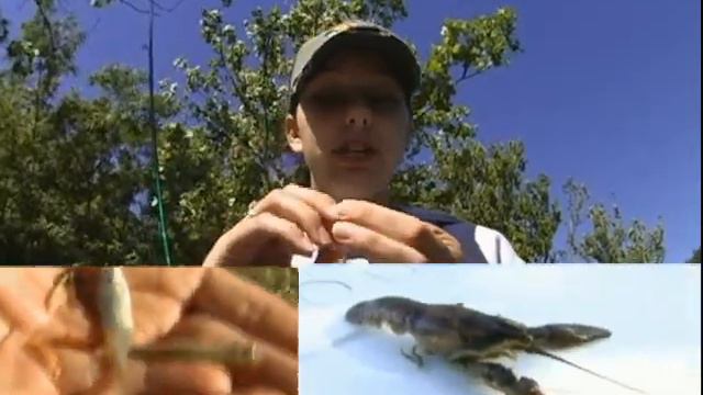Bass Pro Shops Next Gen WOW Factor Crappie