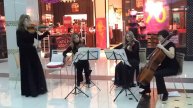 скрипки в алмалы