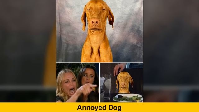 Times Winners Of The Greatest Photoshop Battles Made The Internet A Funnier Place