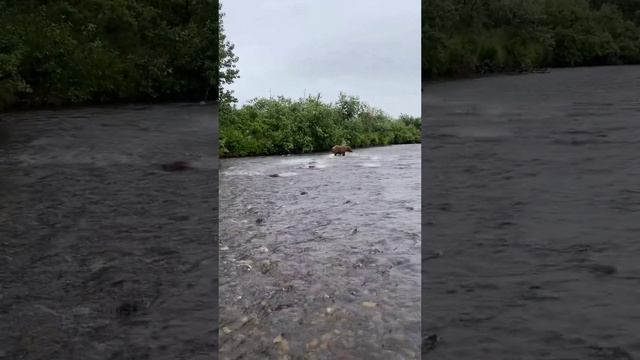 задрали уже