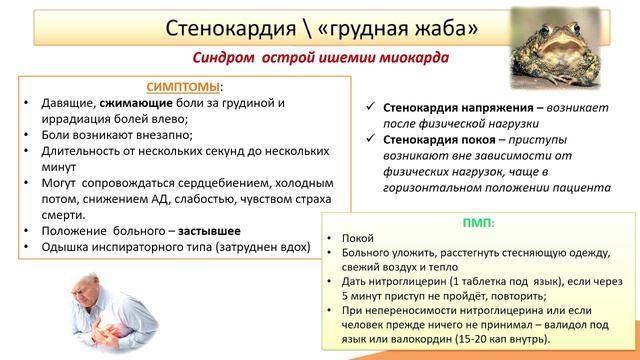 3.4. Ишемическая болезнь сердца (ИБС). Стенокардия. Острый инфаркт миокарда