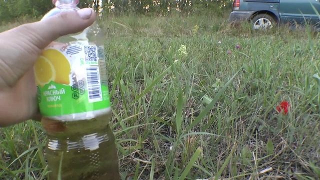 ОДИН ДЕНЬ МЕТАЛЛОКОПА В АВГУСТЕ 2023
