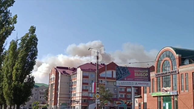 В пригороде Лисок горит лес. Пожар за пожаром.