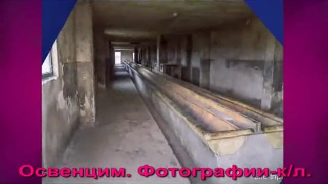 Освенцим фотографии  22