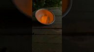 Сжигаем порох из патронов ТЕХКРИМ