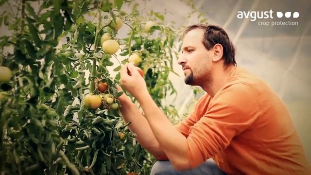 Лазурит - 2015