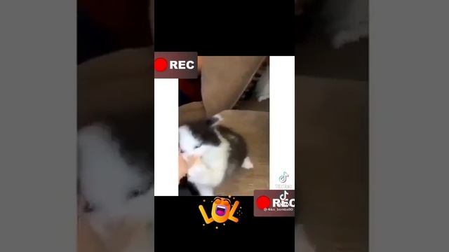 где-то в других странахв россии