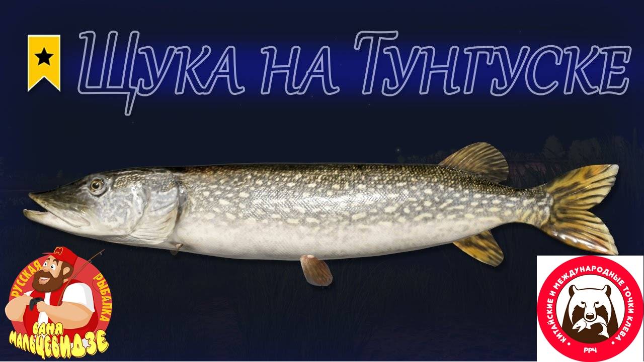 Щука • Нижняя Тунгуска • Ловля на джерки • Русская Рыбалка 4