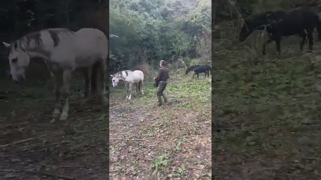 дошли до стоянки, пер. Хмарный.