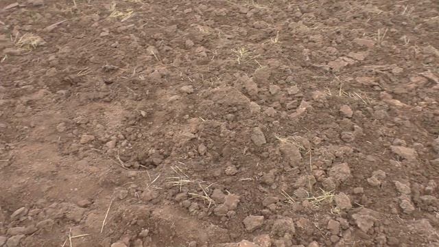 Поиск с Xterra 705. Все усыпано Царями