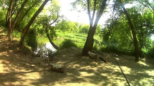 Стоит только расслабиться, и спиннинг вылетит из рук. Рыбалка на лесной речке
