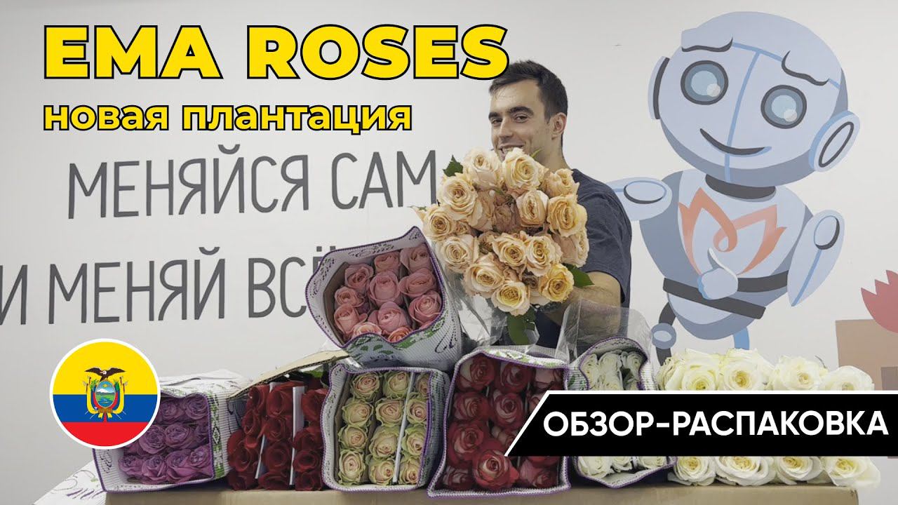 ОБЗОР-РАСПАКОВКА: Новая плантация "Ema Roses"