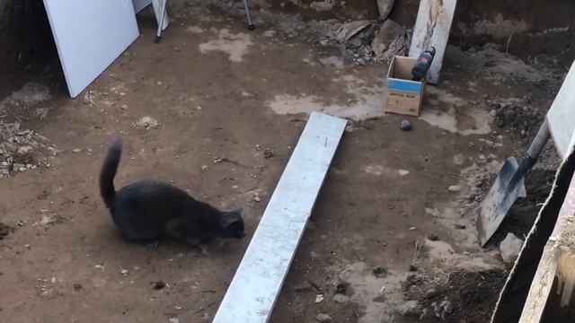 Бассейн своими руками