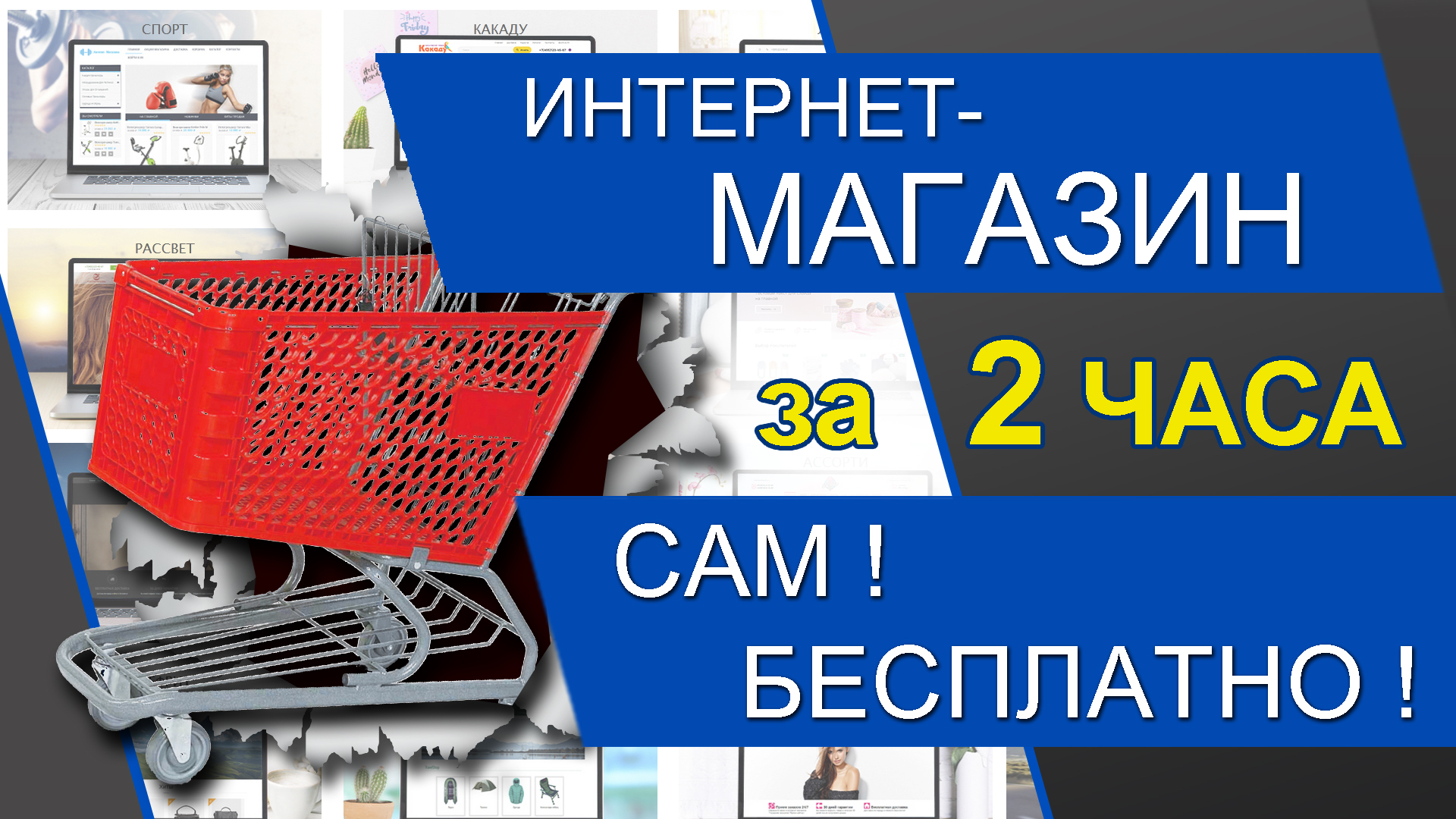 Как сделать ИНТЕРНЕТ-МАГАЗИН с нуля Бесплатно и Самостоятельно. + ДРОПШИППИНГ.