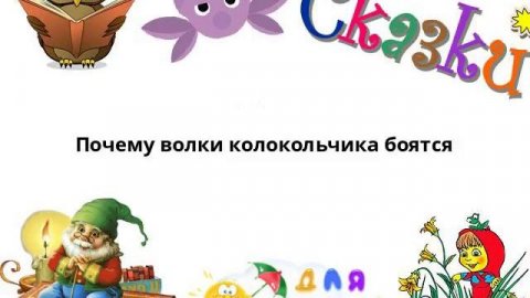 Почему волки колокольчика боятся