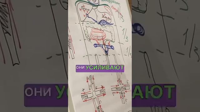 Теплых Максим Анатольевич " Восстановление с помощью магнитных стрелок"