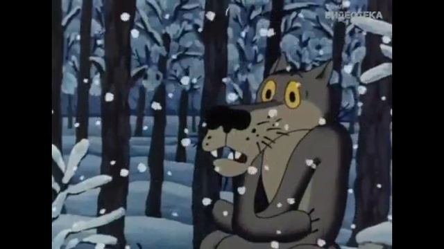 Шо? Опять?